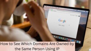 How to See Which Domains Are Owned by the Same Person Using IP