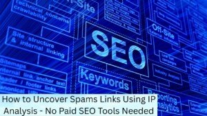 How to Uncover Spams Links Using IP Analysis - No Paid SEO Tools Needed