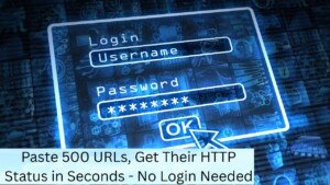Paste 500 URLs, Get Their HTTP Status in Seconds - No Login Needed