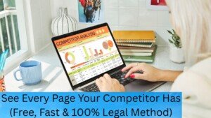 See Every Page Your Competitor Has (Free, Fast & 100% Legal Method)
