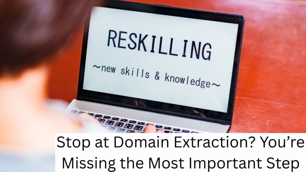 Stop at Domain Extraction? You’re Missing the Most Important Step