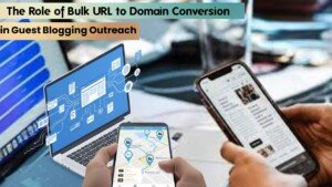 The Role of Bulk URL to Domain Conversion in Guest Blogging Outreach