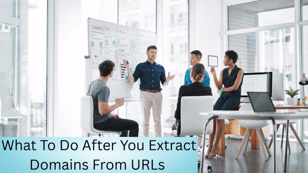 What To Do After You Extract Domains From URLs