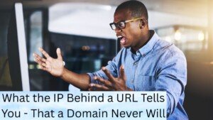 What the IP Behind a URL Tells You - That a Domain Never Will