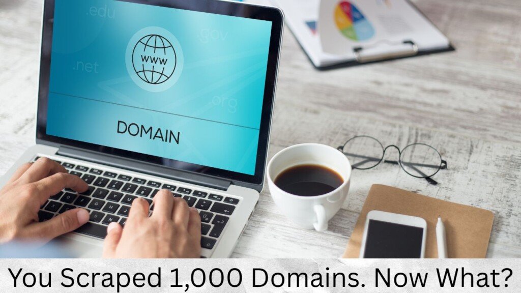 You Scraped 1,000 Domains. Now What?