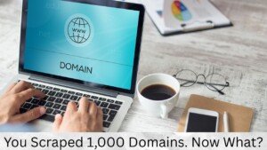 You Scraped 1,000 Domains. Now What?